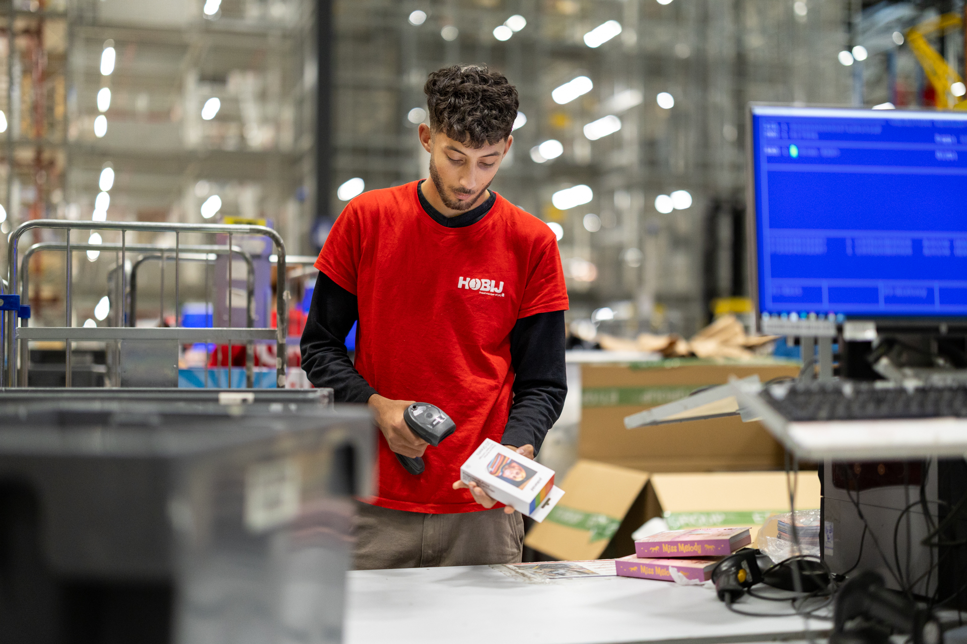 Working in the netherlands